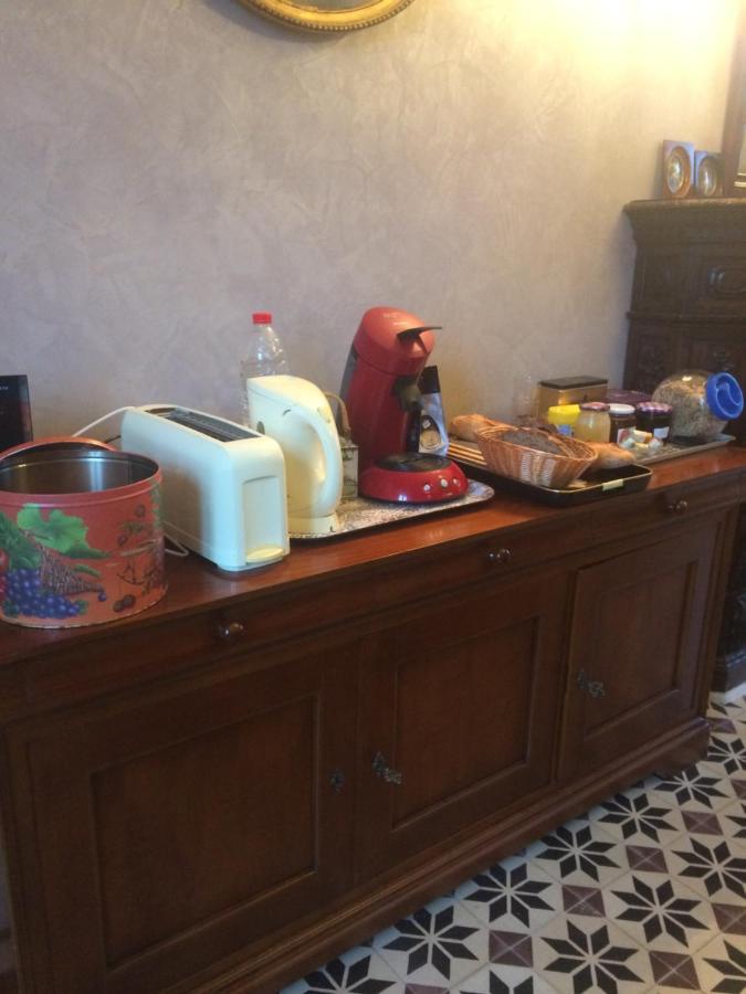 Le Logis Du Plessis Bed & Breakfast Chaniers Bagian luar foto