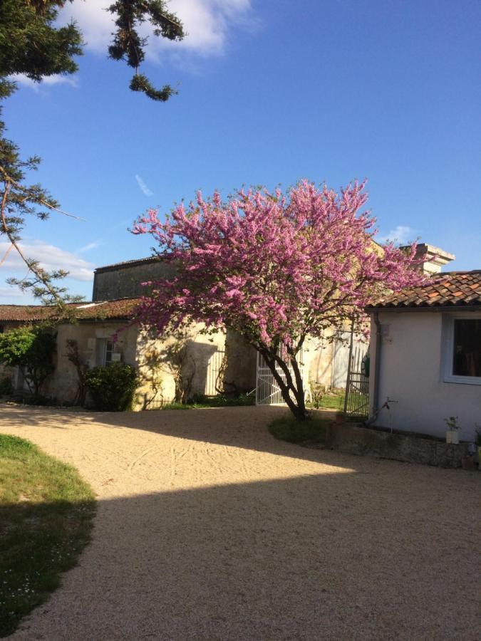 Le Logis Du Plessis Bed & Breakfast Chaniers Bagian luar foto