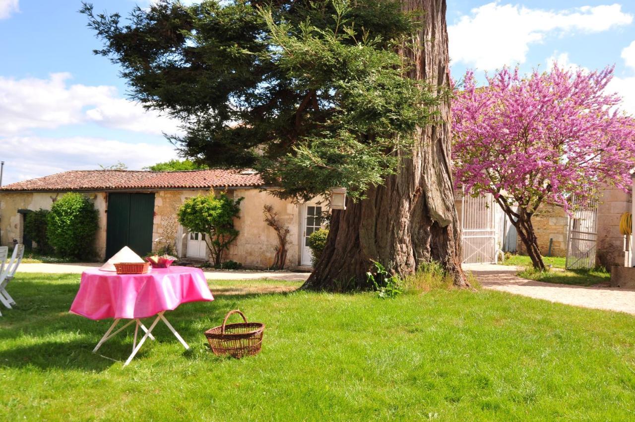 Le Logis Du Plessis Bed & Breakfast Chaniers Bagian luar foto