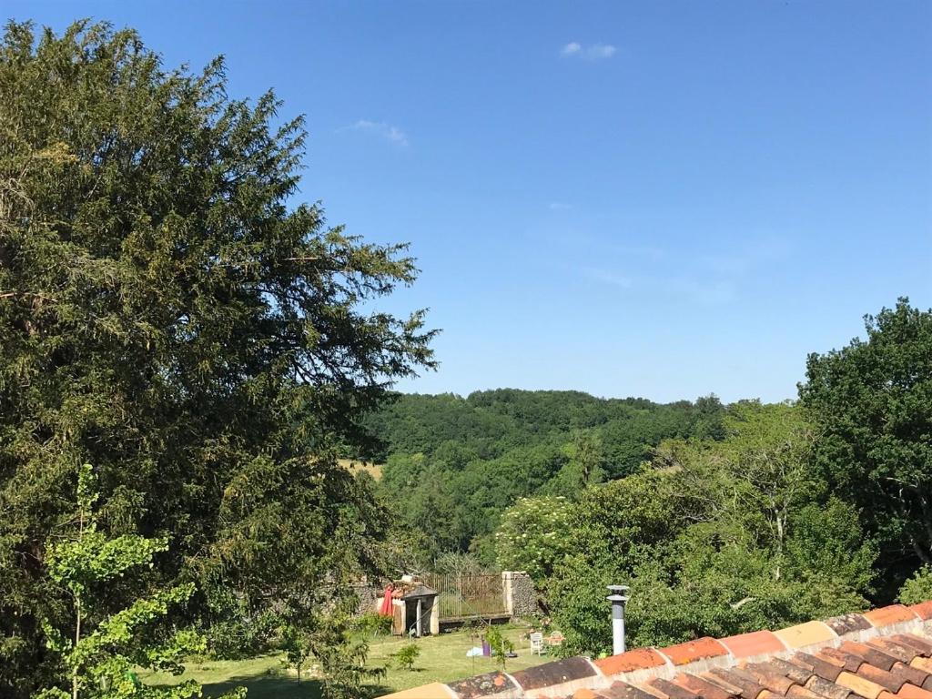 Le Logis Du Plessis Bed & Breakfast Chaniers Bagian luar foto