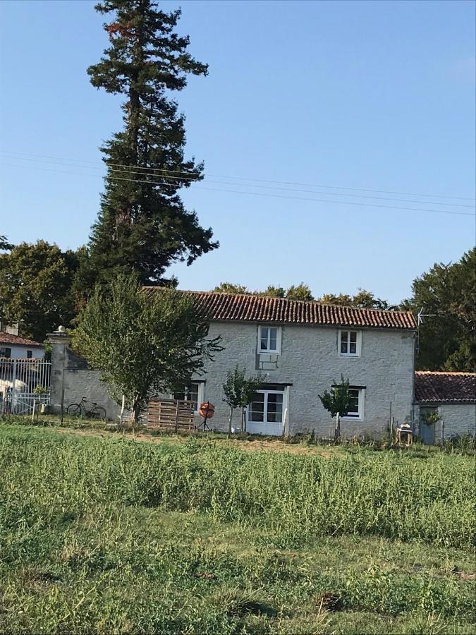Le Logis Du Plessis Bed & Breakfast Chaniers Bagian luar foto